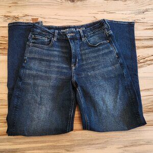 American Eagle Curvy Mom Jean 8 Long